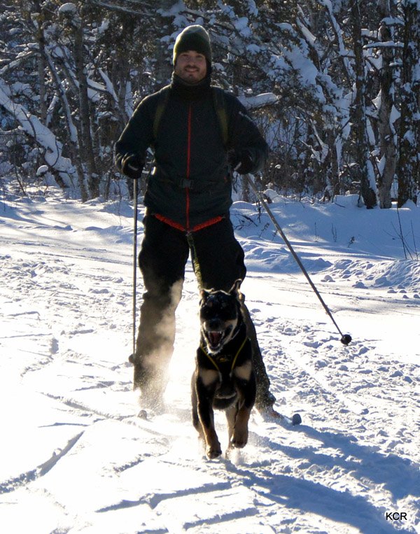 Mushers Path 6 Types of Urban Mushers You’ll Meet on the Trails | PetGuide