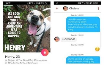 Doggos Looking For Love On Tinder Want You To Swipe Right! [Video]