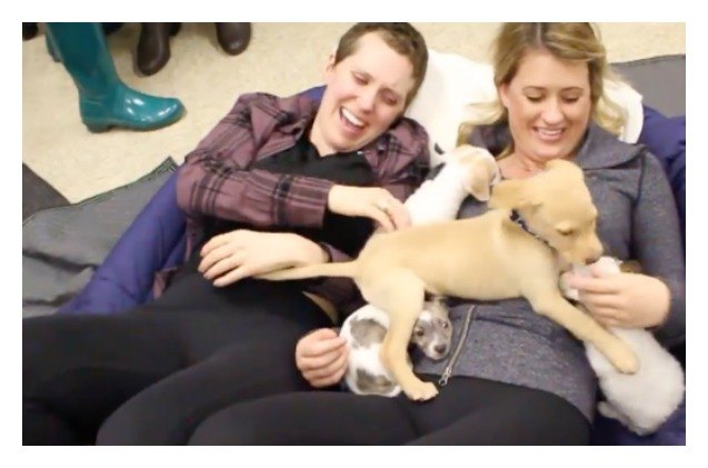 woman battling cancer gets surprise puppy palooza video