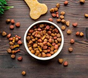 5 common pet food ingredients that could harm your dog