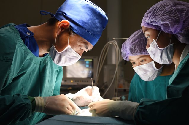 50k open heart surgery in france saves pennsylvania dog