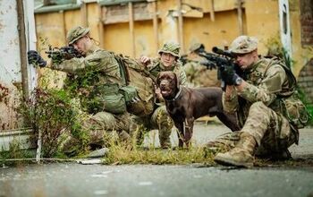 Elite Ranger Military Dogs Suit Up With Upgraded Tactical Gear