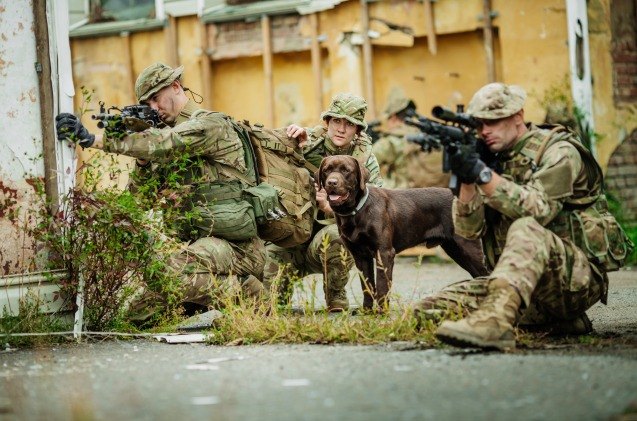 elite ranger military dogs suit up with upgraded tactical gear