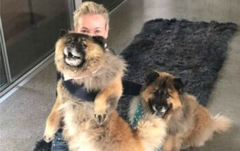 Chelsea Handler Welcomes New Furry Friends Into Her Family