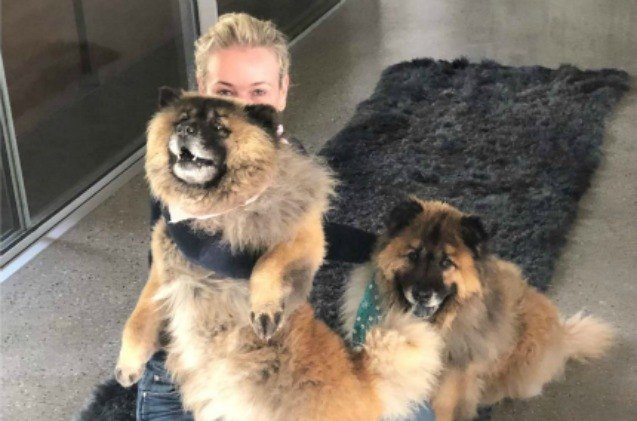 chelsea handler welcomes new furry friends into her family
