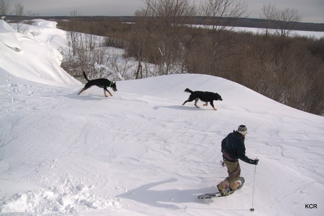 secrets of canadian mushers why dog boots and deep snow dont mix