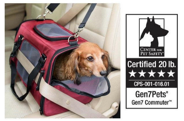 this pet carrier received the highest crash test rating from cps