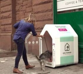 dog parkers sent packing from new york city streets