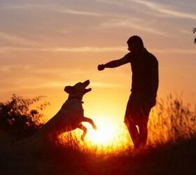 Research Shows Prehistoric Man Loved His Dogs As Much As We Do