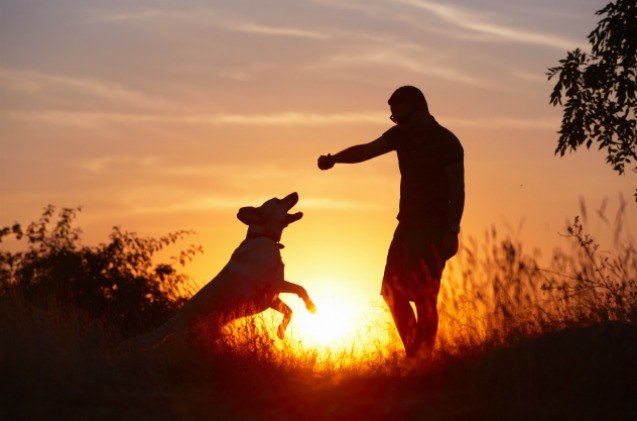 research shows prehistoric man loved his dogs as much as we do