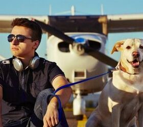 Report: Rich People Also Happen To Be Dog People