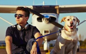 Report: Rich People Also Happen To Be Dog People