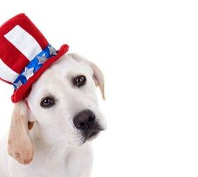 7 Presidential Pets That Can Count On Our Vote