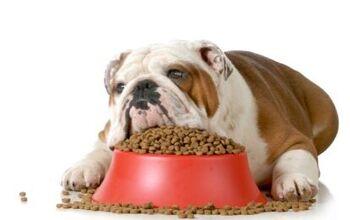 FDA Issues Recalls For Several Raw Pet Food Companies
