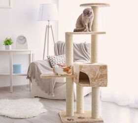 what makes a great cat tree