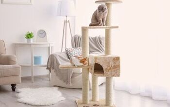 What Makes a Great Cat Tree?