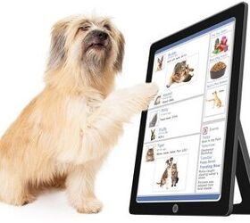 is your animal rescue social media savvy