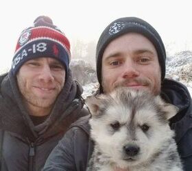Olympian Skier Gus Kenworthy Saves 90 Pups From Dog Meat Farm