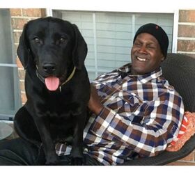 Wrongfully Imprisoned Man and His Prison Pup Enjoy Their Freedom