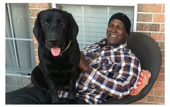 Wrongfully Imprisoned Man and His Prison Pup Enjoy Their Freedom