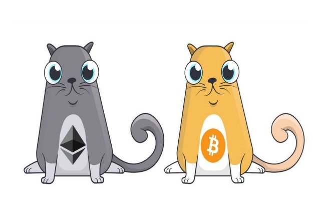 cute cryptokitties mobile game lets you breed and buy digital kittens