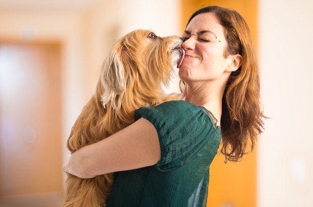 like owner like dog study proves dogs pick up our behavior