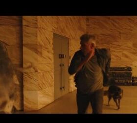 Mysterious Bladerunner 2049 Dog Wins Palm Dog USA Award