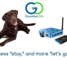 Guardian Orb Uses Advanced Technology To Track Your Pet