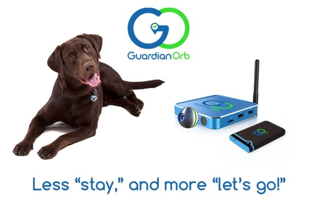guardian orb uses advanced technology to track your pet