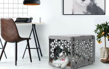 Kickstarter’s PAWD Is The Prettiest Crate You’ll Ever See