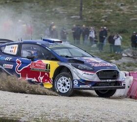 world rally champion risks title to avoid dog on course video