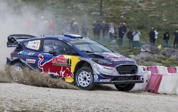 World Rally Champion Risks Title To Avoid Dog On Course [Video]