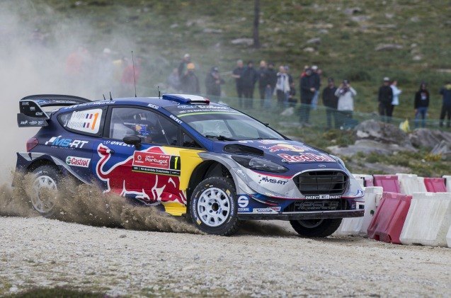 world rally champion risks title to avoid dog on course video