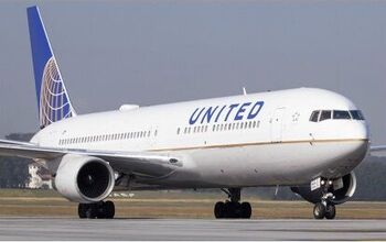 Study: United Airline Responsible For Half Of Animal Injury and Death 