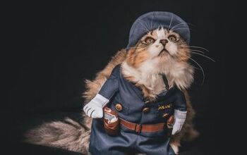 Thanks to Twitter, Troy is Getting a Police Cat