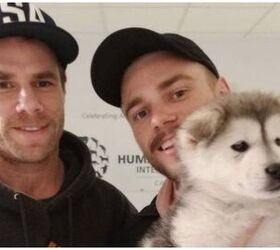 Gus Kenworthy Reunited With Gold Medal South Korean Rescue Dog