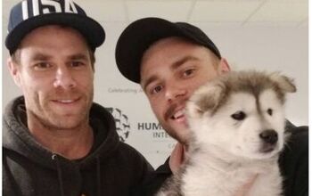 Gus Kenworthy Reunited With Gold Medal South Korean Rescue Dog