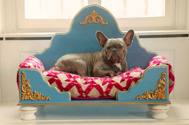 global pet expo a royal bed designed especially for your furry duches