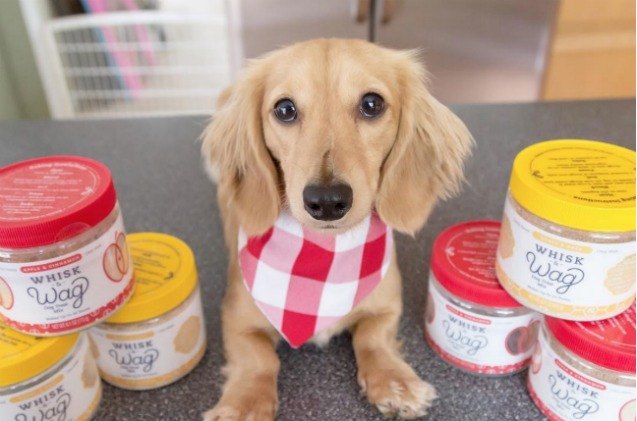global pet expo homemade treat mixes will have your dog wagging while you whisk
