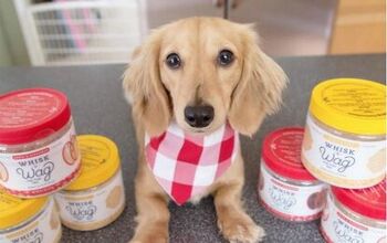 Global Pet Expo: Homemade Treat Mixes Will Have Your Dog Wagging While
