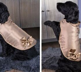 This $1.5 Million Dog Jacket is Made From Real Gold and Diamonds