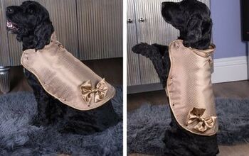 This $1.5 Million Dog Jacket is Made From Real Gold and Diamonds
