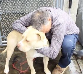 Homeless Man Finds New Home For Him And His Dog