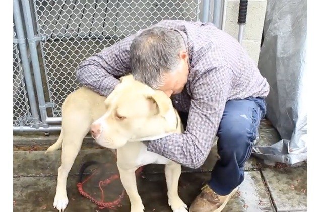 homeless man finds new home for him and his dog