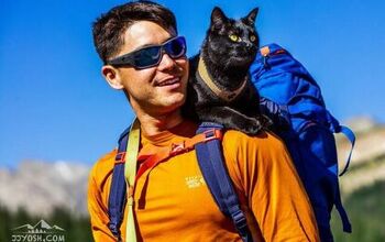 This Instagram Kitty Goes On Pawesome Outdoors Adventures With His Dad