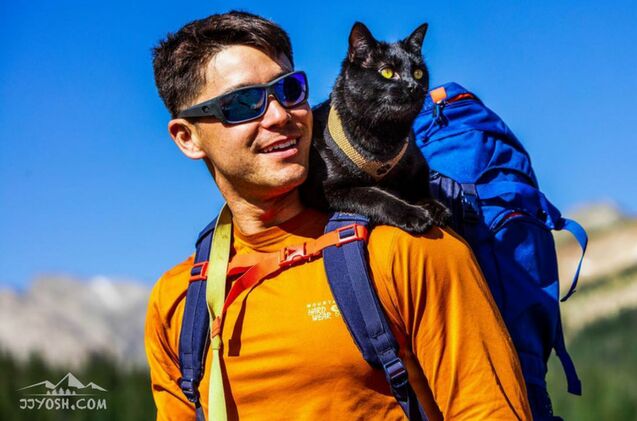 this instagram kitty goes on pawesome outdoors adventures with his dad