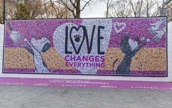 This Beautiful Mural Is Made From Pictures of Adopters and Their Rescu