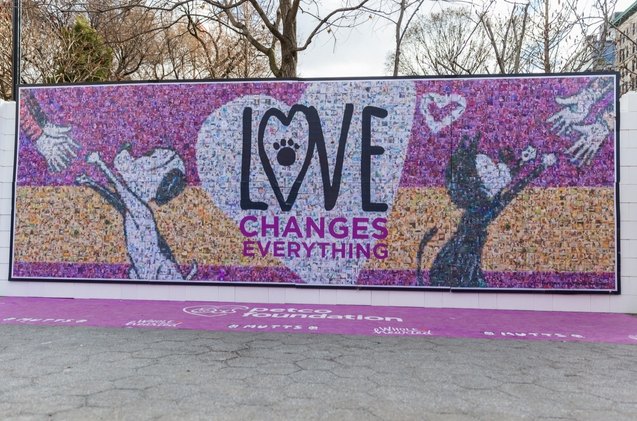 this beautiful mural is made from pictures of adopters and their rescues