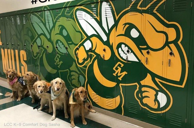 golden retrievers bring comfort to maryland high school after shooting