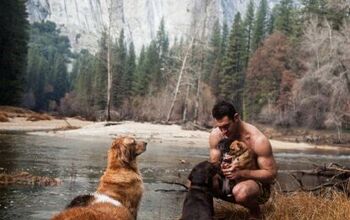 Man Travels The Country In RV With His 6 Rescue Dogs